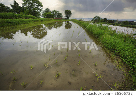 Photographing rice terraces in Kurihara, Otsu City, Shiga Prefecture 86506722