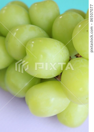 可愛的心閃耀馬斯喀特 86507077