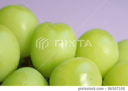 可愛的心閃耀馬斯喀特 86507108