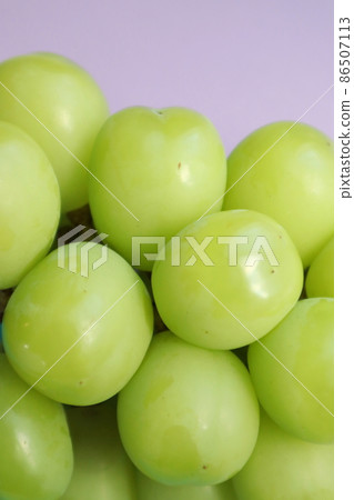 可愛的心閃耀馬斯喀特 86507113