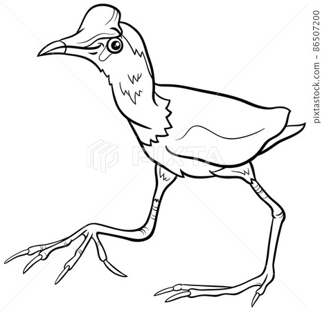 cartoon jacana bird animal character coloring book page cartoon jacana bird animal character coloring book page 86507200