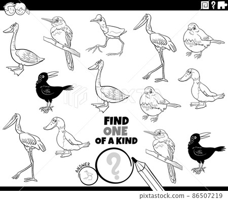 one of a kind game with cartoon birds coloring book page one of a kind game with cartoon birds coloring book page 86507219