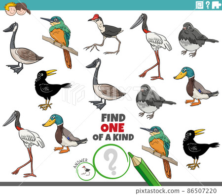 one of a kind game for children with cartoon birds 86507220