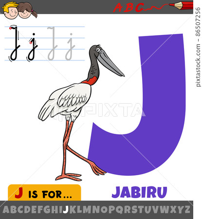 letter J from alphabet with cartoon jabiru bird animal character letter J from alphabet with cartoon jabiru bird animal character 86507256