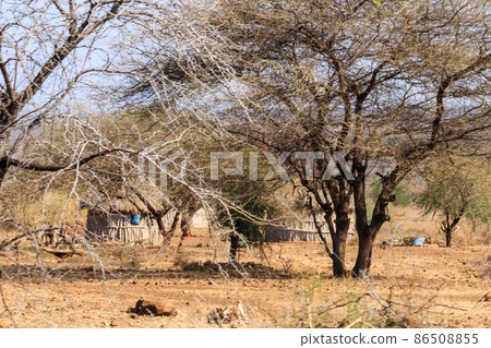 Traditional Maasai village in Tanzania, East Africa 86508855
