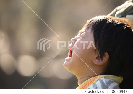 哭泣的男孩 哭泣的男孩 86509424