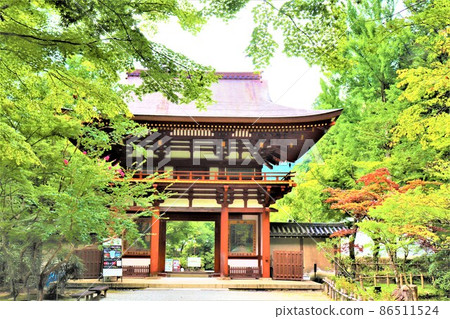 Woman Takano / Murouji Woman Takano / Murouji 86511524