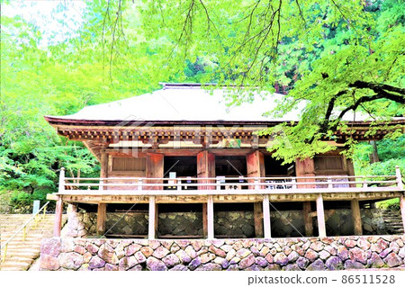 Woman Takano / Murouji 86511528