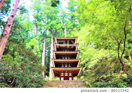 Woman Takano / Murouji 86511542