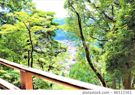 Woman Takano / Murouji Woman Takano / Murouji 86511561