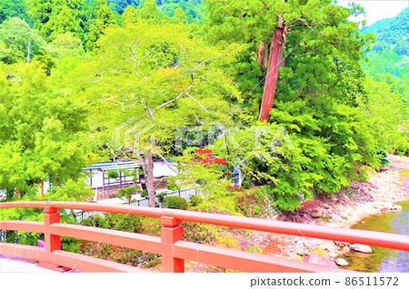 Woman Takano / Murouji Woman Takano / Murouji 86511572