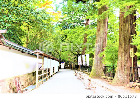 Woman Takano / Murouji Woman Takano / Murouji 86511578