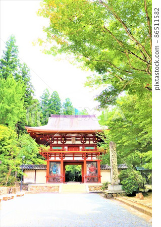 Woman Takano / Murouji Woman Takano / Murouji 86511582