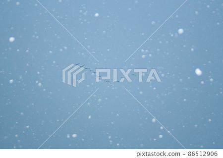 A flock of waterfowl flying away in the snowy winter sky A flock of waterfowl flying away in the snowy winter sky 86512906