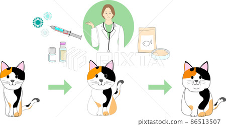 A set of a lean calico cat, a normal calico cat, a fat cat and a female veterinarian. Syringe, medicine and cat food. 86513507