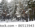 Beautiful scenic view of pine forest with trees covered with snow 86513943