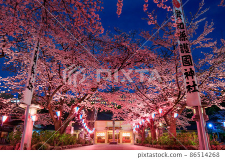 名古屋護國神社的夜櫻 86514268