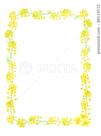 Rape blossom decoration frame drawn in watercolor, square frame, A4 size, vertically long 86514513