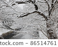 Winter scenery 86514761