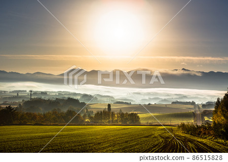 十月北海道，美瑛/日本黎明 86515828