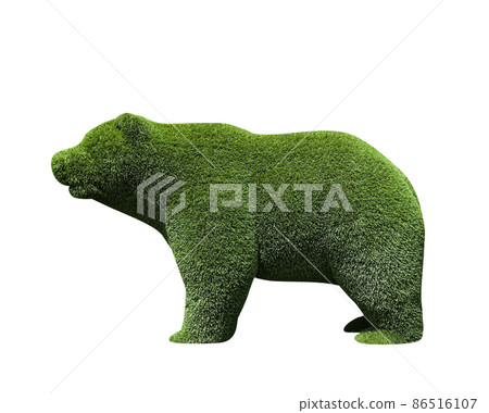 Beautiful bear shaped topiary isolated on white. Landscape gardening Beautiful bear shaped topiary isolated on white. Landscape gardening 86516107