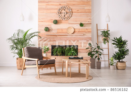 Stylish living room interior with armchair, green plants and miniature zen garden. Home design ideas 86516182