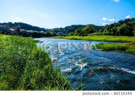 City of Trees Sendai Hirose River Autumn Downstream of Ohashi 86516349