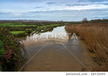 The River Yar at Brading Marshes The River Yar at Brading Marshes 86516493