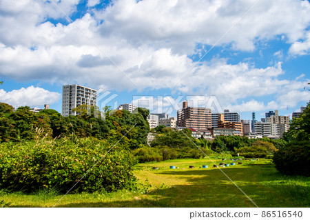 樹木之城廣瀨川淀見橋下游右岸建築景觀 86516540