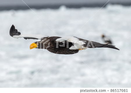 Shiretoko winter 86517081