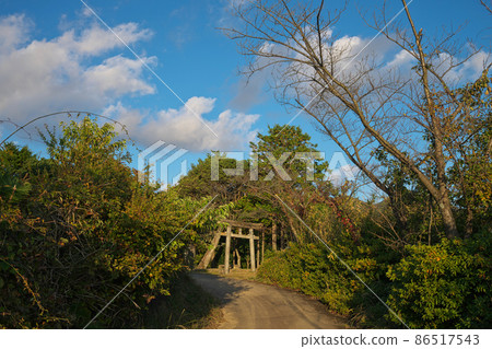 《島根縣》晴天，保能山公園的風景[11月] 86517543
