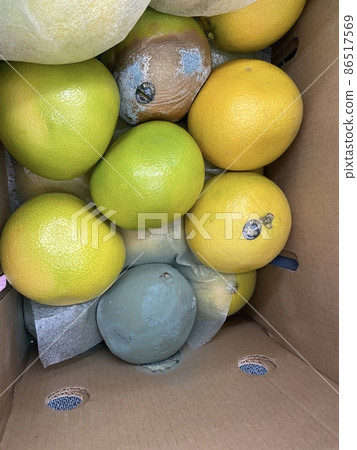 發霉的柚子 發霉的柚子 86517569