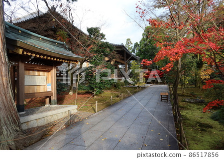 Scenery of Shinreihoden and autumn leaves in the precincts of Koryuji Temple in Uzumasa, Kyoto City Scenery of Shinreihoden and autumn leaves in the precincts of Koryuji Temple in Uzumasa, Kyoto City 86517856