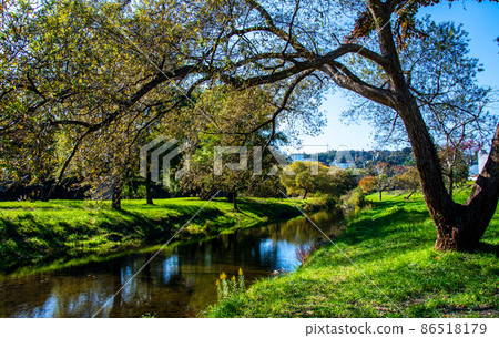 City of Trees Sendai Hirosegawa Autumn Shadow of trees in Nakasu reflected in the stagnation 86518179