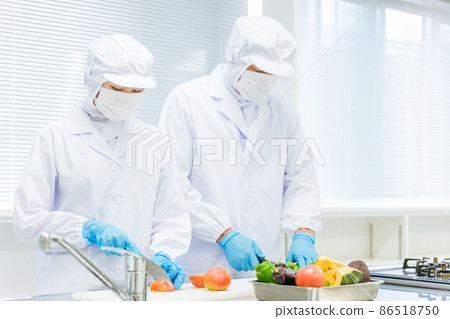 穿著乾淨衣服切菜的男女（食品加工） 86518750