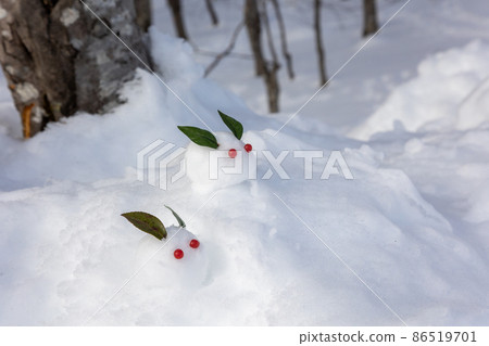 Snow rabbit on the snow Snow rabbit on the snow 86519701