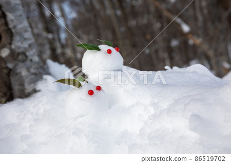 雪兔在雪地上 雪兔在雪地上 86519702