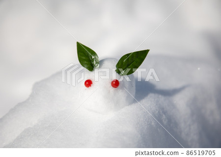 Snow rabbit on the snow 86519705