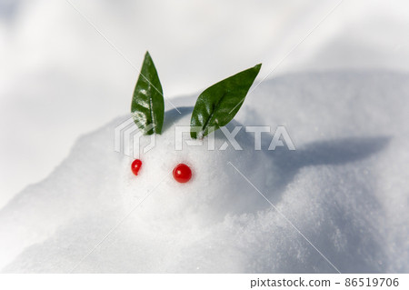 Snow rabbit on the snow 86519706