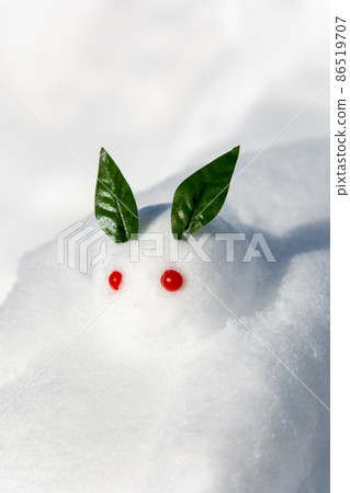 Snow rabbit on the snow 86519707