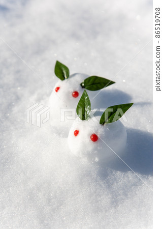 Snow rabbit on the snow 86519708
