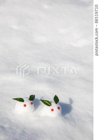 Snow rabbit on the snow 86519710