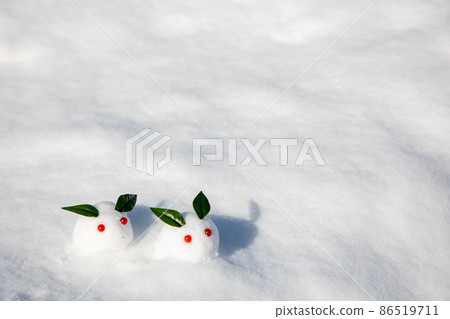 Snow rabbit on the snow 86519711