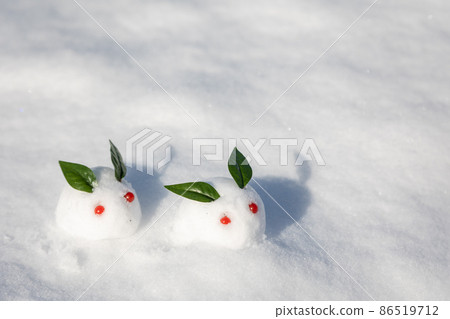 Snow rabbit on the snow 86519712