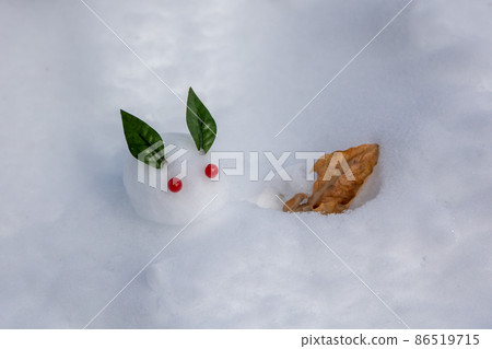 雪兔在雪地上 雪兔在雪地上 86519715