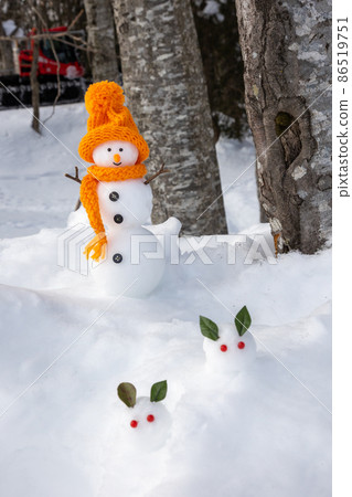 一個在樹林裡發現雪兔的雪人 86519751