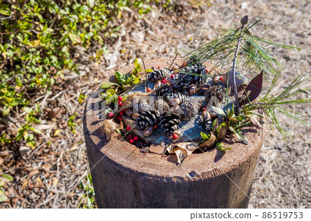 堅果形象 86519753