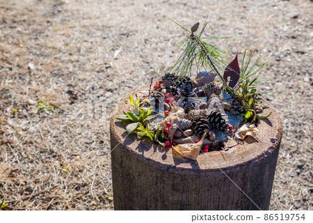 堅果形象 86519754