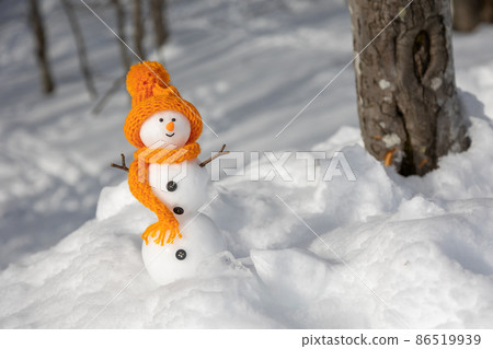 Snowman in the forest 86519939