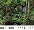 Dohara Falls in summer. The scenery consisting of the greenery of vegetation and moss, the spring waterfall = Dohara no Taki and the clear stream is wonderful. 86519968